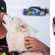 Image for article titled The Perfect Gifts For Someone Who Wants To Understand Car People
